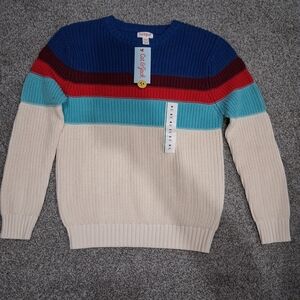 Colorful Striped Sweater for Men